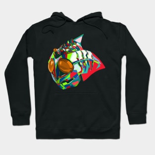 Sigma Color Hoodie